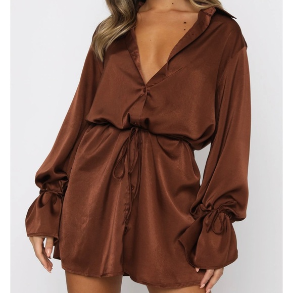 Long Sleeve Chocolate Mini Silk Dress - Picture 1 of 5